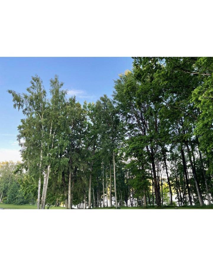 Brivdienu Maja Ezerkalni Myza Dzirtsiyems エクステリア 写真